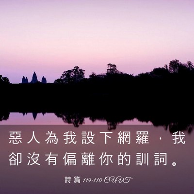 Picture 03 - 詩 篇 119:110 CUVT - 惡 人 為 我 設 下 網 羅 ， 我 卻 沒 - Bible Verse Picture