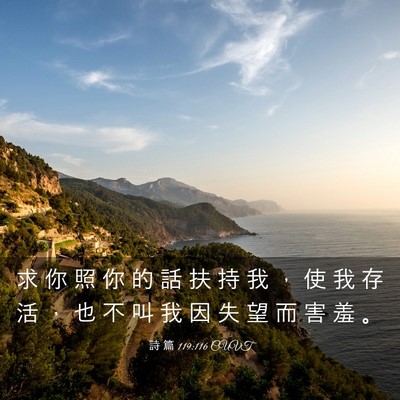 Picture 03 - 詩 篇 119:116 CUVT - 求 你 照 你 的 話 扶 持 我 ， 使 我 - Bible Verse Picture