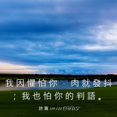 Picture 03 - 詩 篇 119:120 CUVT - 我 因 懼 怕 你 ， 肉 就 發 抖 ； 我 - Bible Verse Picture