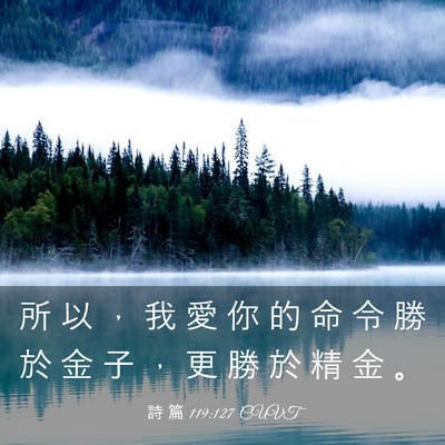 Picture 03 - 詩 篇 119:127 CUVT - 所 以 ， 我 愛 你 的 命 令 勝 於 金 - Bible Verse Picture