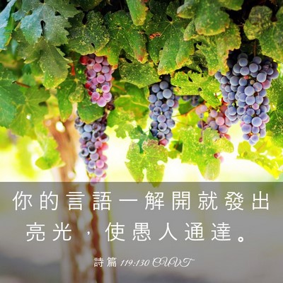 Picture 03 - 詩 篇 119:130 CUVT - 你 的 言 語 一 解 開 就 發 出 亮 光 - Bible Verse Picture