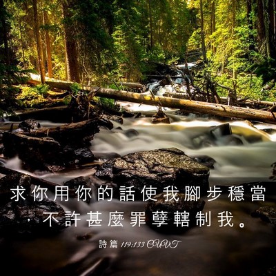 Picture 03 - 詩 篇 119:133 CUVT - 求 你 用 你 的 話 使 我 腳 步 穩 當 - Bible Verse Picture
