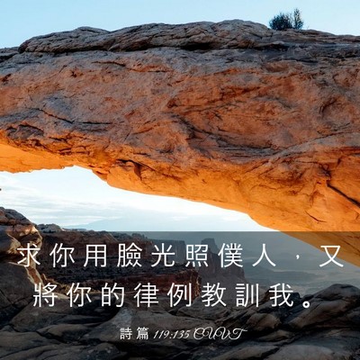 Picture 03 - 詩 篇 119:135 CUVT - 求 你 用 臉 光 照 僕 人 ， 又 將 你 - Bible Verse Picture