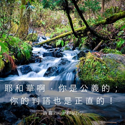 Picture 03 - 詩 篇 119:137 CUVT - 耶 和 華 啊 ， 你 是 公 義 的 ； 你 - Bible Verse Picture
