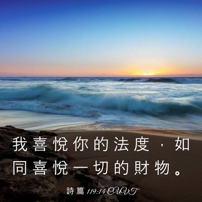 Picture 03 - 詩 篇 119:14 CUVT - 我 喜 悅 你 的 法 度 ， 如 同 喜 悅 - Bible Verse Picture