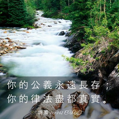Picture 03 - 詩 篇 119:142 CUVT - 你 的 公 義 永 遠 長 存 ； 你 的 律 - Bible Verse Picture