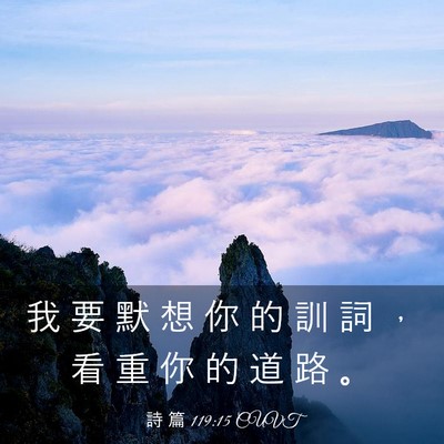 Picture 03 - 詩 篇 119:15 CUVT - 我 要 默 想 你 的 訓 詞 ， 看 重 你 - Bible Verse Picture