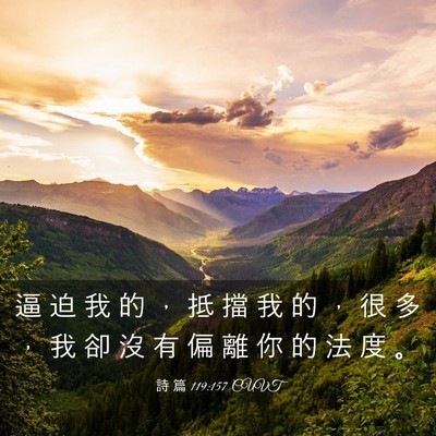 Picture 03 - 詩 篇 119:157 CUVT - 逼 迫 我 的 ， 抵 擋 我 的 ， 很 多 - Bible Verse Picture