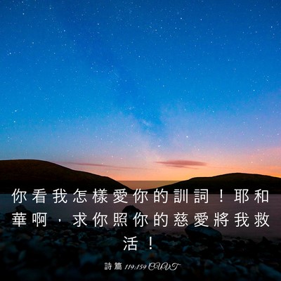 Picture 03 - 詩 篇 119:159 CUVT - 你 看 我 怎 樣 愛 你 的 訓 詞 ！ 耶 - Bible Verse Picture