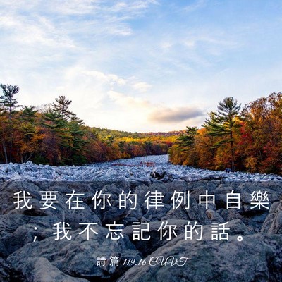 Picture 03 - 詩 篇 119:16 CUVT - 我 要 在 你 的 律 例 中 自 樂 ； 我 - Bible Verse Picture