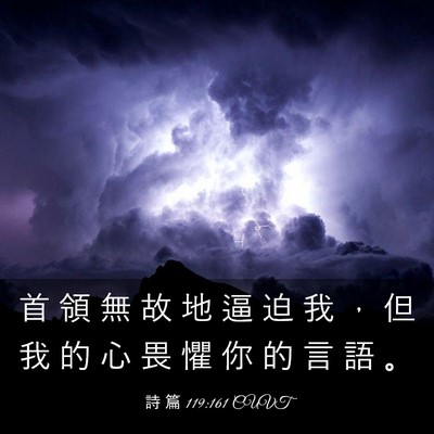 Picture 03 - 詩 篇 119:161 CUVT - 首 領 無 故 地 逼 迫 我 ， 但 我 的 - Bible Verse Picture
