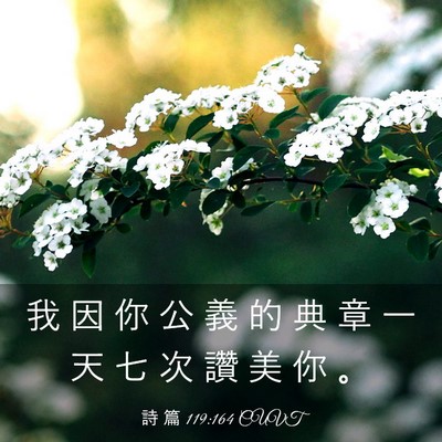 Picture 03 - 詩 篇 119:164 CUVT - 我 因 你 公 義 的 典 章 一 天 七 次 - Bible Verse Picture