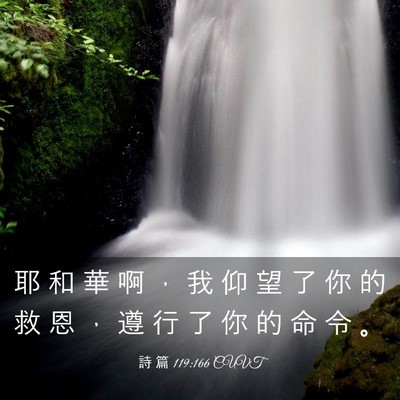 Picture 03 - 詩 篇 119:166 CUVT - 耶 和 華 啊 ， 我 仰 望 了 你 的 救 - Bible Verse Picture