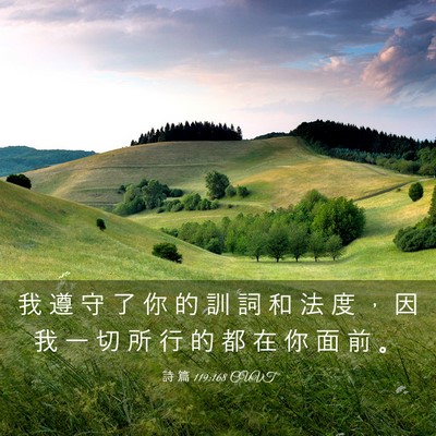 Picture 03 - 詩 篇 119:168 CUVT - 我 遵 守 了 你 的 訓 詞 和 法 度 ， - Bible Verse Picture