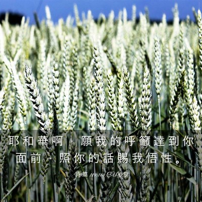 Picture 03 - 詩 篇 119:169 CUVT - 耶 和 華 啊 ， 願 我 的 呼 籲 達 到 - Bible Verse Picture