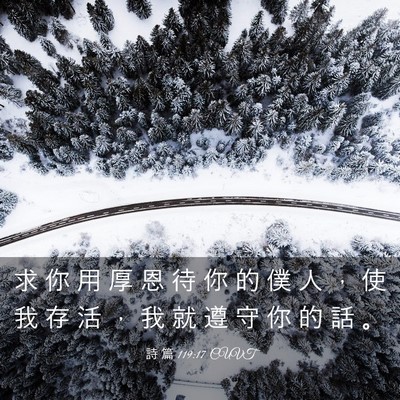 Picture 03 - 詩 篇 119:17 CUVT - 求 你 用 厚 恩 待 你 的 僕 人 ， 使 - Bible Verse Picture