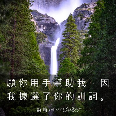 Picture 03 - 詩 篇 119:173 CUVT - 願 你 用 手 幫 助 我 ， 因 我 揀 選 - Bible Verse Picture