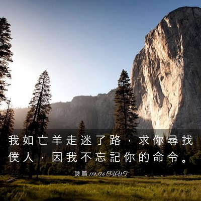 Picture 03 - 詩 篇 119:176 CUVT - 我 如 亡 羊 走 迷 了 路 ， 求 你 尋 - Bible Verse Picture