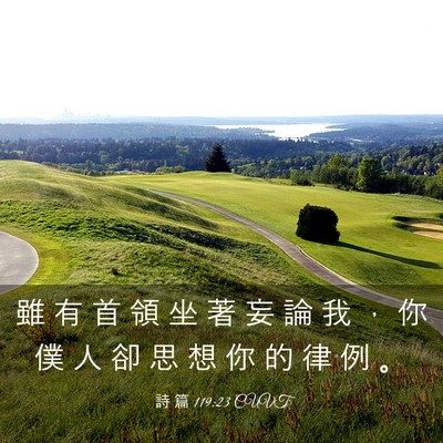 Picture 03 - 詩 篇 119:23 CUVT - 雖 有 首 領 坐 著 妄 論 我 ， 你 僕 - Bible Verse Picture