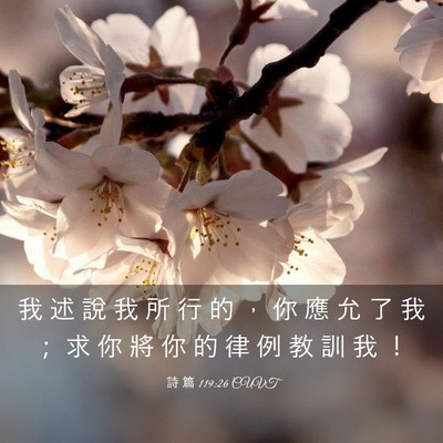 Picture 03 - 詩 篇 119:26 CUVT - 我 述 說 我 所 行 的 ， 你 應 允 了 - Bible Verse Picture