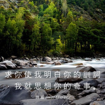 Picture 03 - 詩 篇 119:27 CUVT - 求 你 使 我 明 白 你 的 訓 詞 ， 我 - Bible Verse Picture