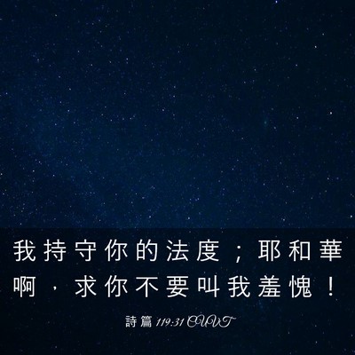 Picture 03 - 詩 篇 119:31 CUVT - 我 持 守 你 的 法 度 ； 耶 和 華 啊 - Bible Verse Picture
