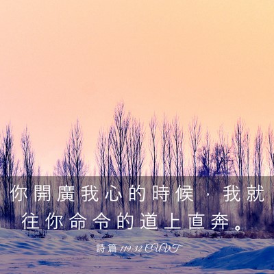 Picture 03 - 詩 篇 119:32 CUVT - 你 開 廣 我 心 的 時 候 ， 我 就 往 - Bible Verse Picture