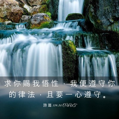 Picture 03 - 詩 篇 119:34 CUVT - 求 你 賜 我 悟 性 ， 我 便 遵 守 你 - Bible Verse Picture