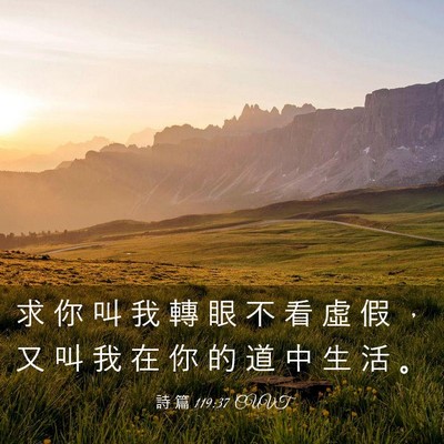 Picture 03 - 詩 篇 119:37 CUVT - 求 你 叫 我 轉 眼 不 看 虛 假 ， 又 - Bible Verse Picture