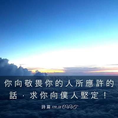Picture 03 - 詩 篇 119:38 CUVT - 你 向 敬 畏 你 的 人 所 應 許 的 話 - Bible Verse Picture