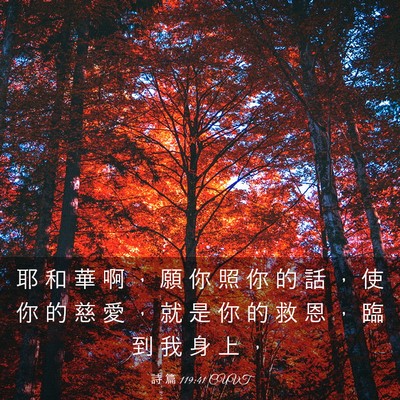 Picture 03 - 詩 篇 119:41 CUVT - 耶 和 華 啊 ， 願 你 照 你 的 話 ， - Bible Verse Picture