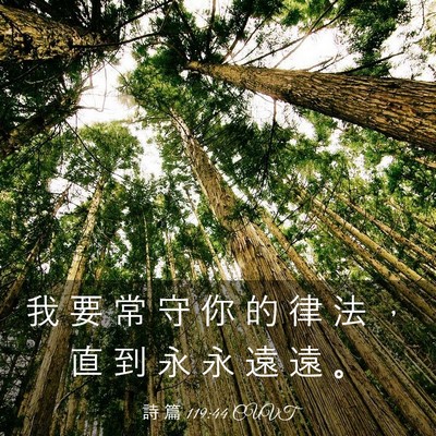 Picture 03 - 詩 篇 119:44 CUVT - 我 要 常 守 你 的 律 法 ， 直 到 永 - Bible Verse Picture