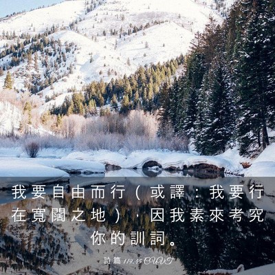Picture 03 - 詩 篇 119:45 CUVT - 我 要 自 由 而 行 （ 或 譯 ： 我 要 - Bible Verse Picture