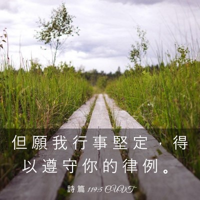 Picture 03 - 詩 篇 119:5 CUVT - 但 願 我 行 事 堅 定 ， 得 以 遵 守 - Bible Verse Picture