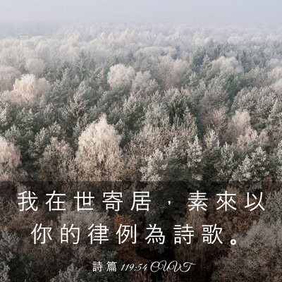 Picture 03 - 詩 篇 119:54 CUVT - 我 在 世 寄 居 ， 素 來 以 你 的 律 - Bible Verse Picture