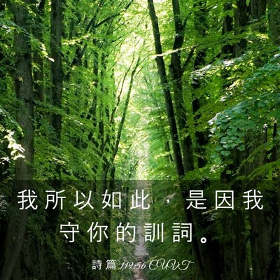 Picture 03 - 詩 篇 119:56 CUVT - 我 所 以 如 此 ， 是 因 我 守 你 的 - Bible Verse Picture
