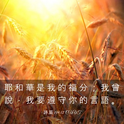 Picture 03 - 詩 篇 119:57 CUVT - 耶 和 華 是 我 的 福 分 ； 我 曾 說 - Bible Verse Picture