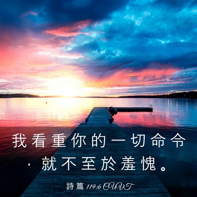 Picture 03 - 詩 篇 119:6 CUVT - 我 看 重 你 的 一 切 命 令 ， 就 不 - Bible Verse Picture