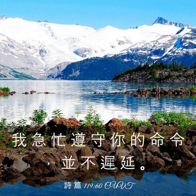 Picture 03 - 詩 篇 119:60 CUVT - 我 急 忙 遵 守 你 的 命 令 ， 並 不 - Bible Verse Picture