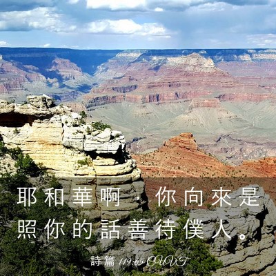 Picture 03 - 詩 篇 119:65 CUVT - 耶 和 華 啊 ， 你 向 來 是 照 你 的 - Bible Verse Picture