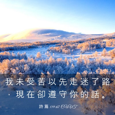 Picture 03 - 詩 篇 119:67 CUVT - 我 未 受 苦 以 先 走 迷 了 路 ， 現 - Bible Verse Picture