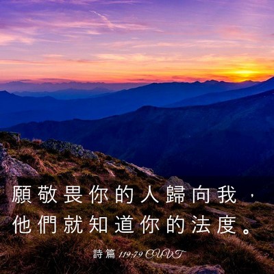 Picture 03 - 詩 篇 119:79 CUVT - 願 敬 畏 你 的 人 歸 向 我 ， 他 們 - Bible Verse Picture