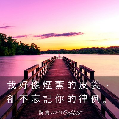 Picture 03 - 詩 篇 119:83 CUVT - 我 好 像 煙 薰 的 皮 袋 ， 卻 不 忘 - Bible Verse Picture
