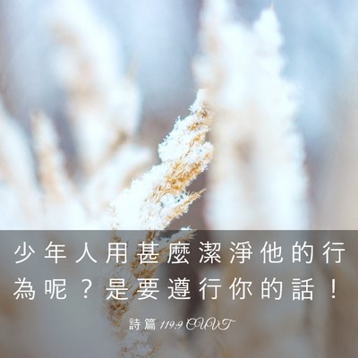 Picture 03 - 詩 篇 119:9 CUVT - 少 年 人 用 甚 麼 潔 淨 他 的 行 為 - Bible Verse Picture