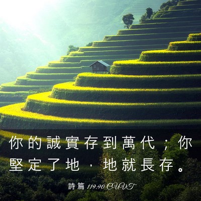 Picture 03 - 詩 篇 119:90 CUVT - 你 的 誠 實 存 到 萬 代 ； 你 堅 定 - Bible Verse Picture