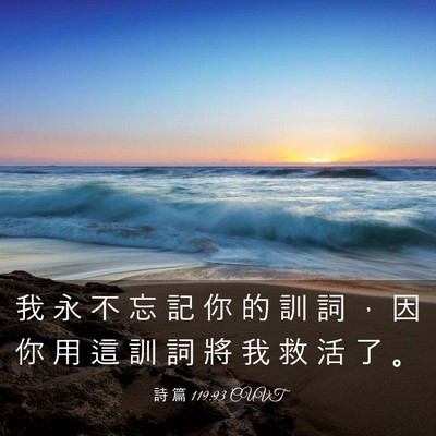 Picture 03 - 詩 篇 119:93 CUVT - 我 永 不 忘 記 你 的 訓 詞 ， 因 你 - Bible Verse Picture