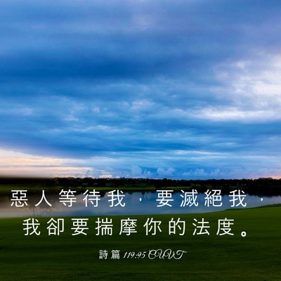 Picture 03 - 詩 篇 119:95 CUVT - 惡 人 等 待 我 ， 要 滅 絕 我 ， 我 - Bible Verse Picture
