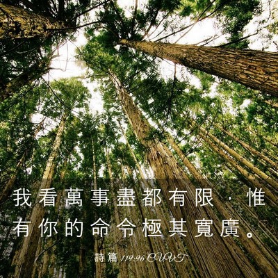 Picture 03 - 詩 篇 119:96 CUVT - 我 看 萬 事 盡 都 有 限 ， 惟 有 你 - Bible Verse Picture