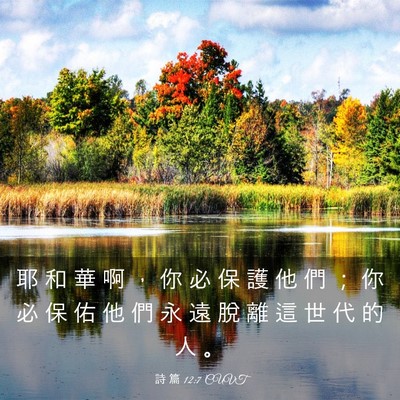 Picture 03 - 詩 篇 12:7 CUVT - 耶 和 華 啊 ， 你 必 保 護 他 們 ； - Bible Verse Picture