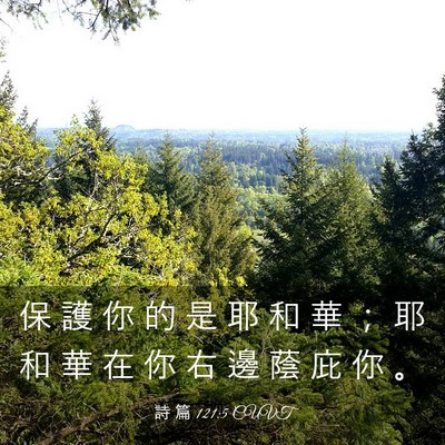 Picture 03 - 詩 篇 121:5 CUVT - 保 護 你 的 是 耶 和 華 ； 耶 和 華 - Bible Verse Picture